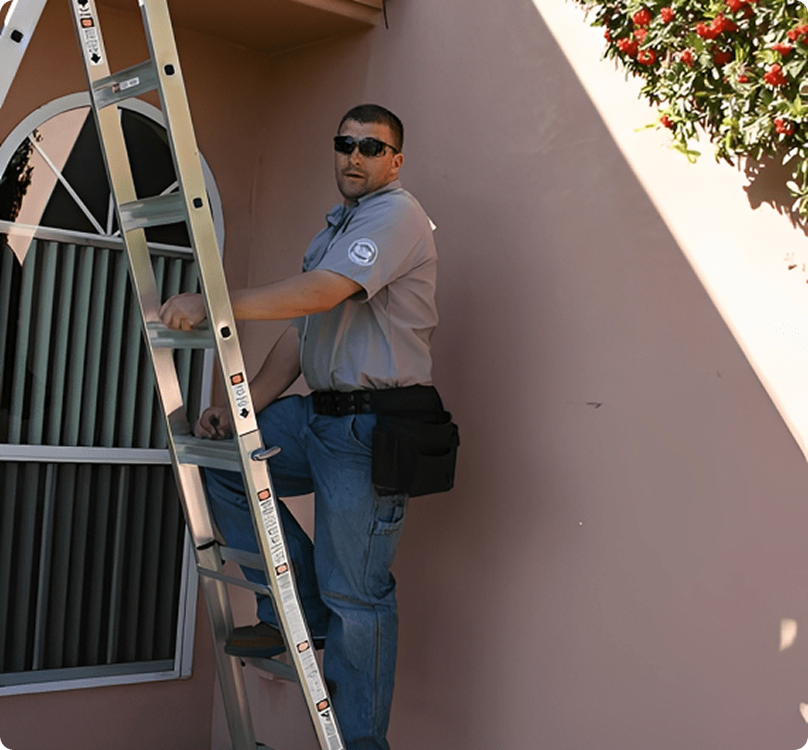 Man on ladder by window and wall